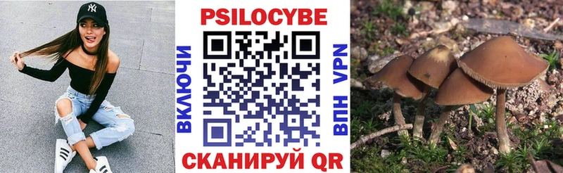 Псилоцибиновые грибы прущие грибы  наркота  Поворино 